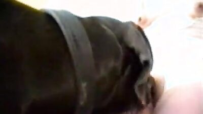 2 dog girl: dog fuck girl home webcam