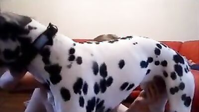 Dog girl 1: sex dog animals in room teen girl