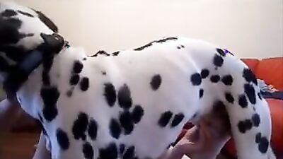 Dog girl 1: sex dog animals in room teen girl