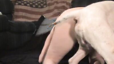 Mimi dog girl: alison zoo porn