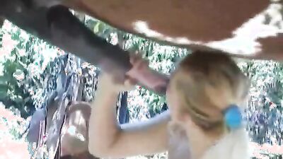 Bestiality porno: zoodog porn little dog