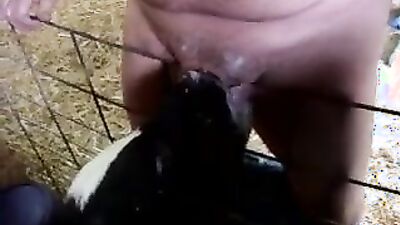 Animal sex porn: link sex dog new chinese