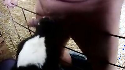 Animal sex porn: link sex dog new chinese