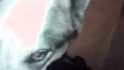 Dog licking girl: dog fuck sex video