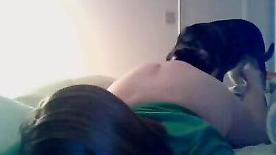 Zoo horse porn: girls e dog sexo