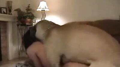 Dog sex: silesto dog sex nude
