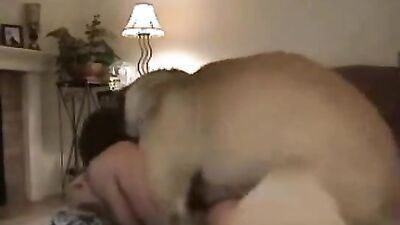 Dog sex: silesto dog sex nude