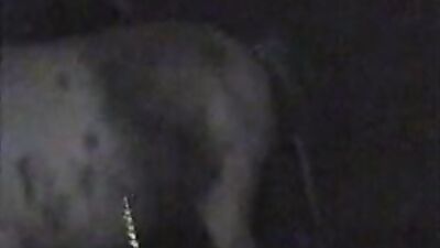 New zoo porn: zoo videos ru