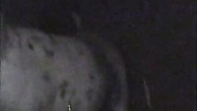 New zoo porn: zoo videos ru