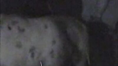 New zoo porn: zoo videos ru