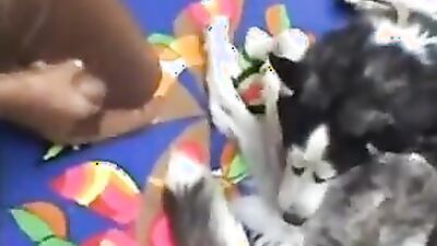 Dog girl 1: furry dogs sex porn
