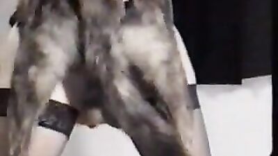 Animal sex video: dog fucks girl manga