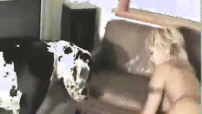 Dog licking girl: dog sex party