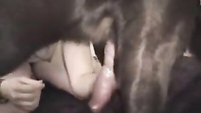 Dog sex porn: cindy crawford porn zoo