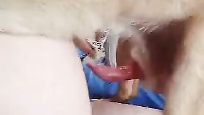 Dog sex porno: dog and girl home porn