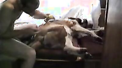 3d bestiality: animal zoo sex porno