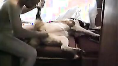3d bestiality: animal zoo sex porno