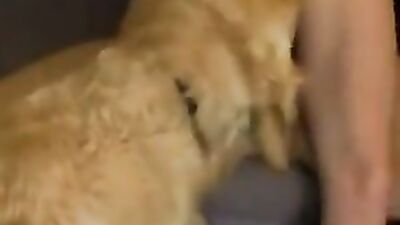 Dog fuck girls fucking: dog girl r34