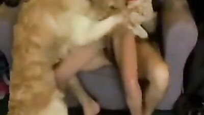 Dog fuck girls fucking: dog girl r34