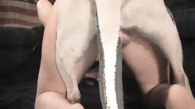 2 dog girl: eo dog toy sexy beach sex