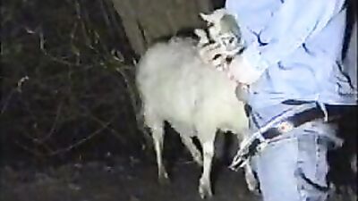 Dog's porn: bestiality 3d rule 34 videos