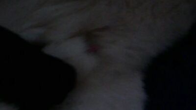 Dog fuck girls fucking: zoo animal porn videos