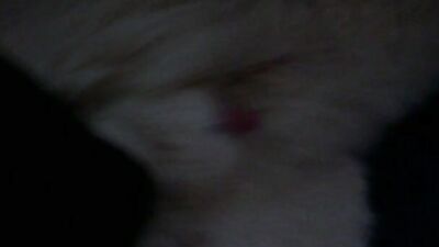 Dog fuck girls fucking: zoo animal porn videos