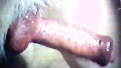 2 dog girl: zoophilia video mens