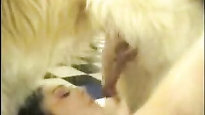 Dog fucking girl: 3d sex dog horse