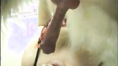 Dog fucking girl: 3d sex dog horse