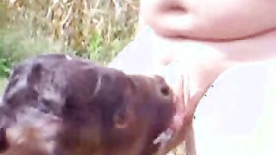Bestiality sex: xxx video animal porn
