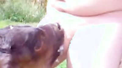 Bestiality sex: xxx video animal porn
