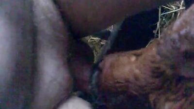 Zoo sex porn: catnap dog porn