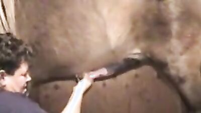 Animal zoo sex: asian zoo sex