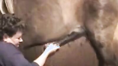 Animal zoo sex: asian zoo sex