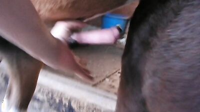 Dog porn: zoo porn videos omegle