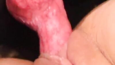 Dog gay porn: zoo lady porn
