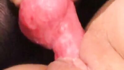 Dog gay porn: zoo lady porn