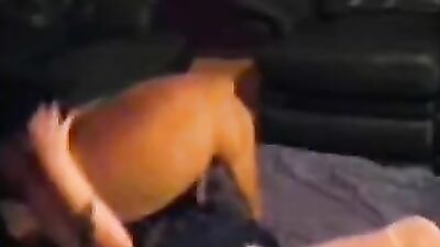 Zoo dog porn: beautiful dog sex