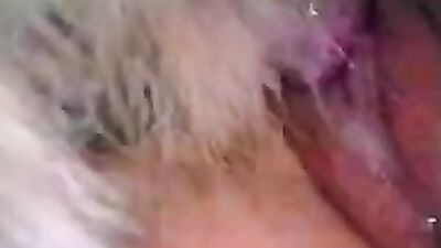 Animal porno: zoo porn com
