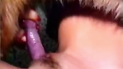 Animal porno: zoo porn com