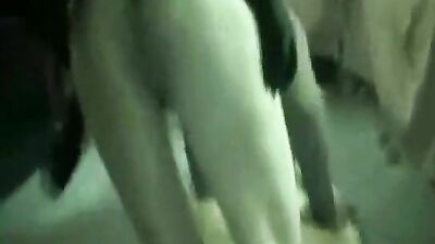 Zoo sex video: dog sex girl bunker