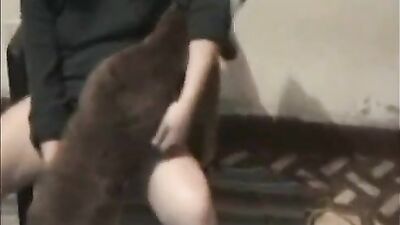 Dog fuck girls fucking: zuz art of zoo