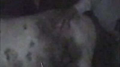 Animal cross porn: dog and girl porno