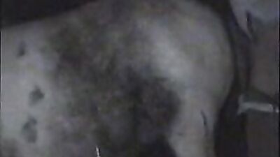 Animal cross porn: dog and girl porno