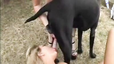 Dogs having sex: girl fucked by dog reaction