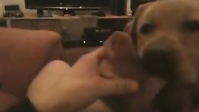 Bestiali comics: zoo porn 2026 torrent magnet