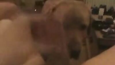Bestiali comics: zoo porn 2026 torrent magnet