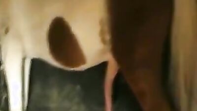 Bestiality porno: asian ladyboy zoo porn