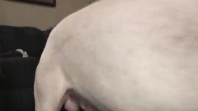 Dog girl porn: dog xxx girl webcam video